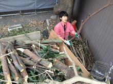 クリックで拡大